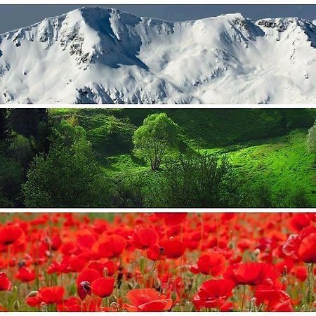 Апартаменти Ковачева-2 Bansko Bagian luar foto